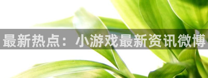手机天美娱乐下载安装：最新热点：小游戏最新资讯微博