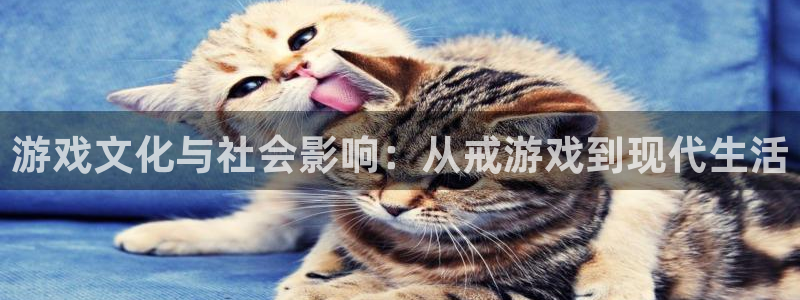 天美娱乐app下载地址：游戏文化与社会影响：从戒游戏到现代生