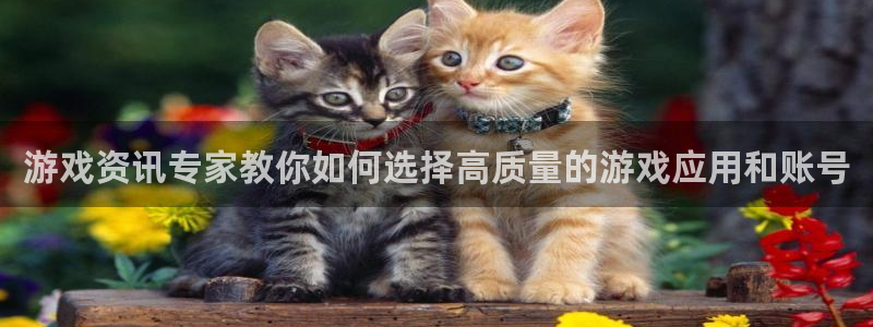 天美娱乐2登录：游戏资讯专家教你如何选择高质量的游戏应用和账