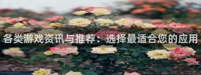 天美娱乐官网登录：各类游戏资讯与推荐：选择最适合您的应用